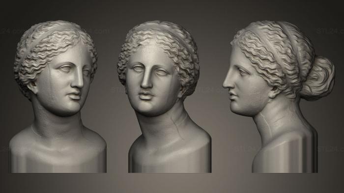 Бюсты и головы античные и исторические (ВЕНЕРА, BUSTA_0168) 3D модель для ЧПУ станка